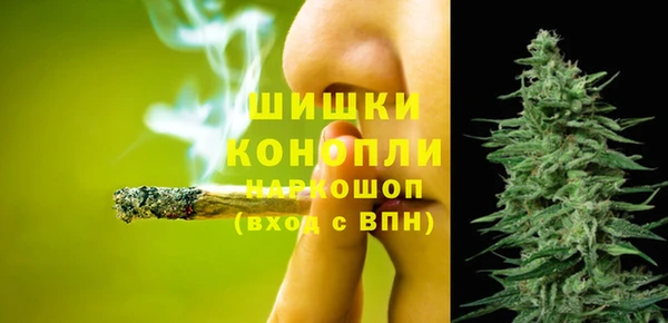 ECSTASY Каменка