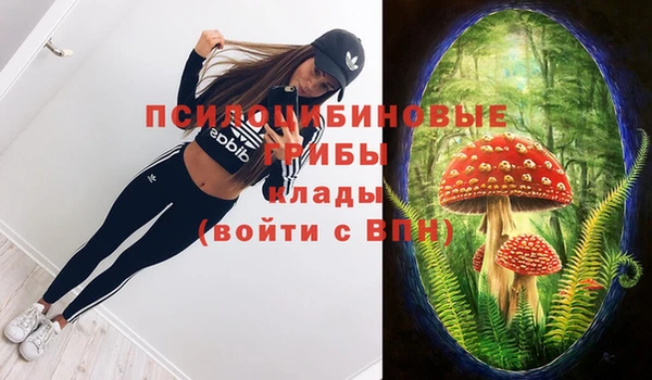 ECSTASY Каменск-Шахтинский